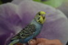 DSC_0644.JPG