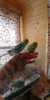 20190428_100303_HDR.jpg