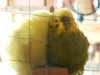 DSCN4704.JPG