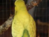 DSCN4585.JPG