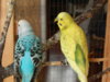 DSCN4586.JPG