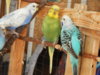 DSCN4597.JPG