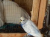 DSCN4605.JPG