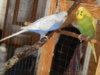 DSCN4613.JPG