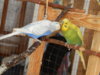 DSCN4614.JPG