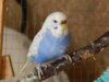 DSCN4637.JPG
