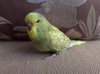 P_20190503_105355_vHDR_Auto.jpg