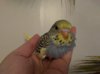 P_20190503_200743_vHDR_Auto.jpg