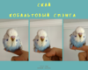 20190503_211302_0000.png