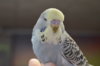 CSC_0555.JPG