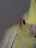 20190507_160139.jpg