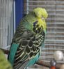 IMG_1538.JPG