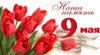 7930963.jpg