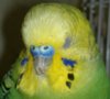 2019-05-10-488.jpg