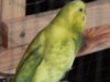 DSCN2665.JPG