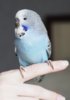 _5110105.jpg