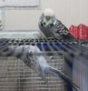 IMG_1646.JPG