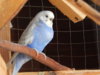 DSCN4927.JPG