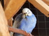 DSCN4934.JPG