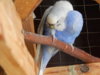 DSCN4946.JPG