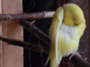 DSCN4949.JPG