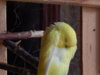 DSCN4951.JPG