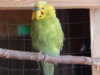 DSCN4953.JPG