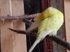 DSCN4964.JPG