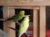 DSCN4981.JPG