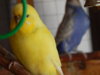 DSCN4997.JPG