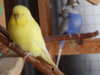 DSCN5014.JPG