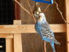 DSCN5001.JPG