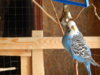 DSCN5002.JPG
