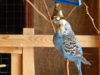 DSCN5003.JPG