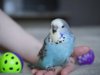 _5180140.jpg