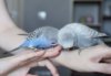 _5180078.jpg