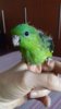 20190521_161739.jpg