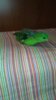 20190522_181826.jpg
