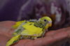 CSC_0479.JPG