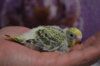DSC_0449.JPG