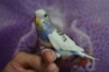 DSC_0583.JPG