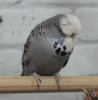 IMG_2308.JPG