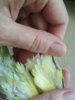 IMG_20190608_133312.jpg