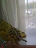 IMG_20190608_133517.jpg