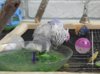IMG_2644.JPG