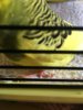 AE1DD37E-12CE-4372-80A1-8AE5C0582AEB.jpeg