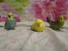 IMG_20190609_174632.jpg
