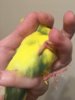 26A9F217-B1BF-4C41-8ACF-E72F14D3FF74.jpeg