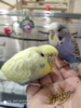 upload_2019-6-11_21-30-24.png