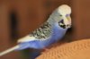 IMG-20190613-WA0008.jpg